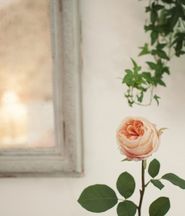 windowsill