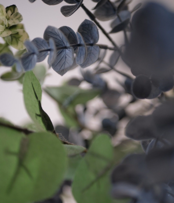 a plant that grows from a tree