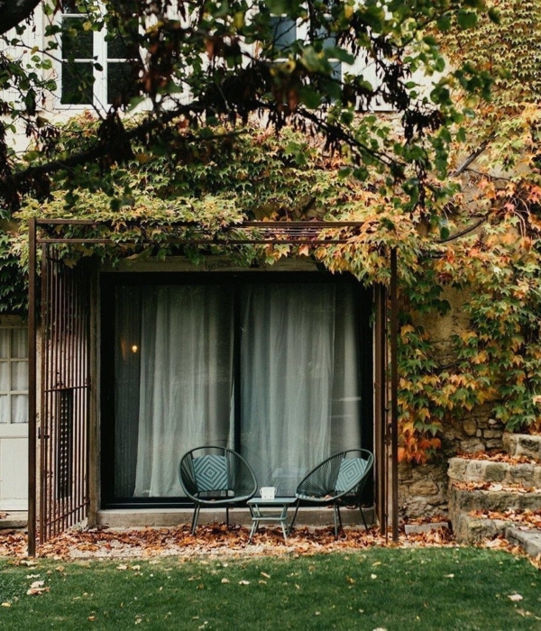 Eine Katze sitzt vor einem Fenster vor einem Baum