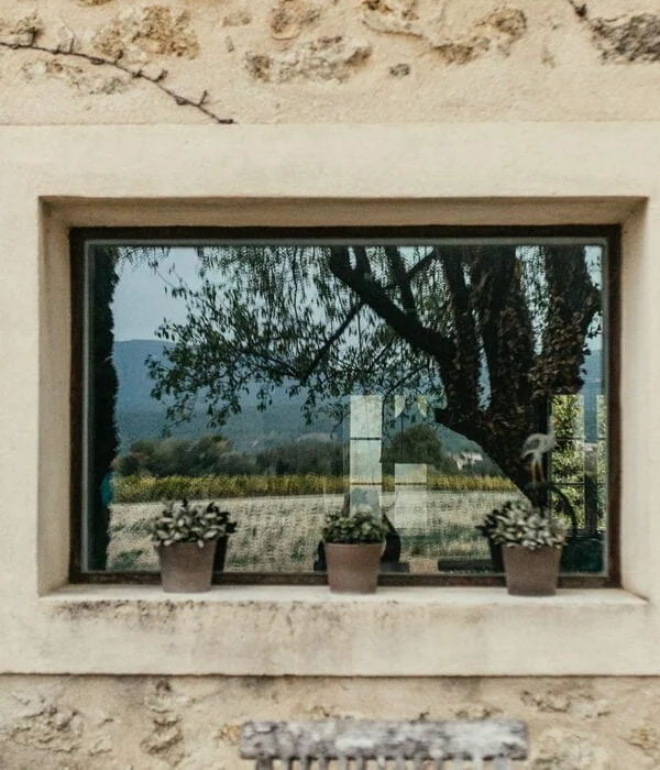 une fenêtre qui contient une plante