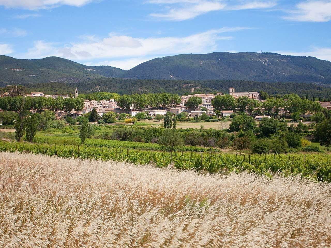 a green field with a mountain range