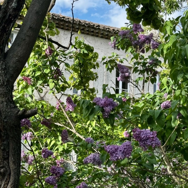 Instagram image