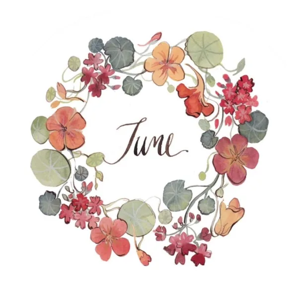 Instagram image