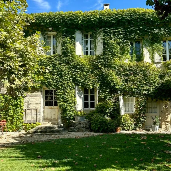 Instagram image