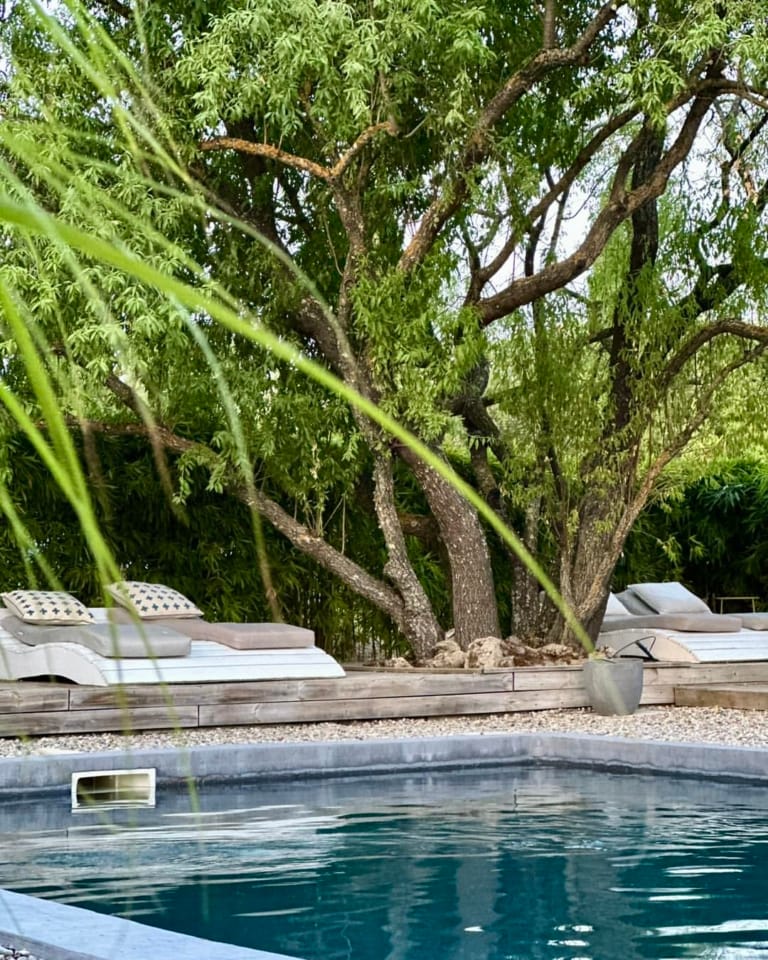 Ein ruhiger Swimmingpool, umgeben von üppigen Bäumen und bequemen Sonnenliegen.
