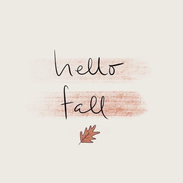 Image Instagram