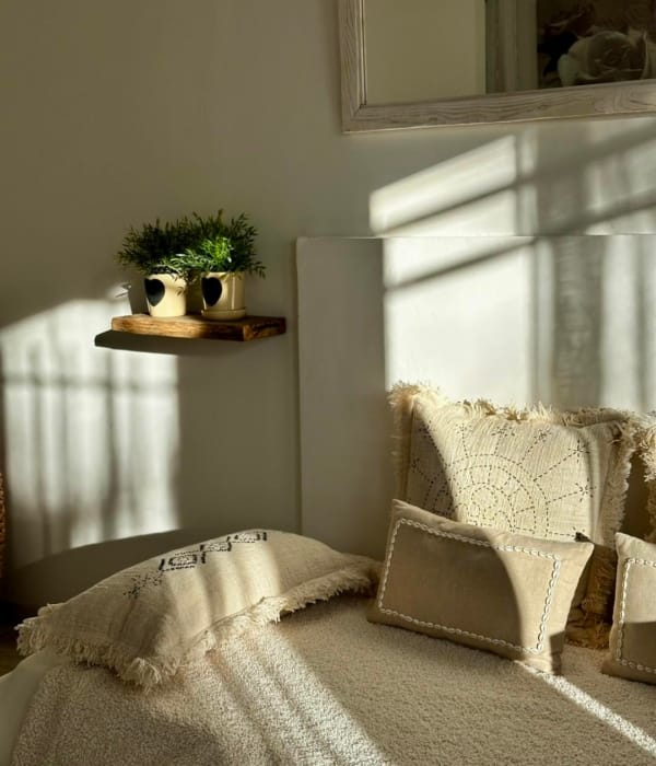 Un coin de lecture douillet avec une étagère, des plantes et des coussins confortables.