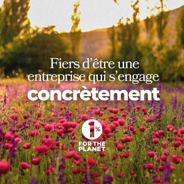 Image Instagram