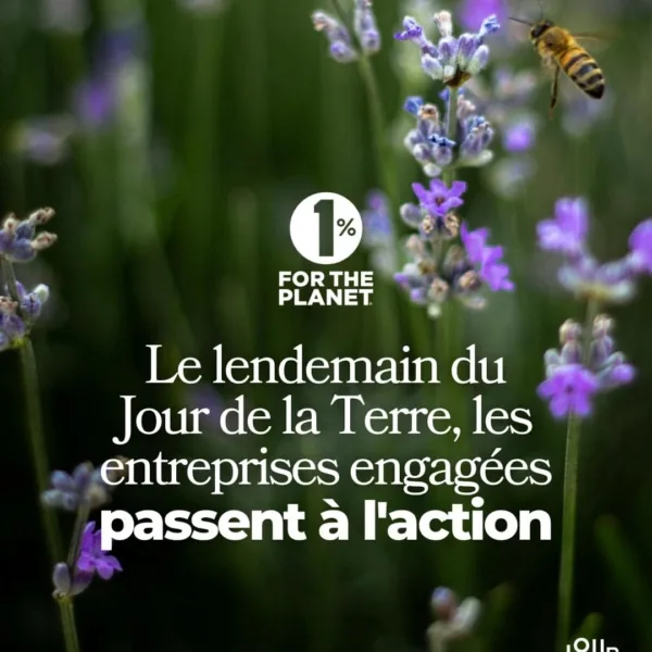 Image Instagram