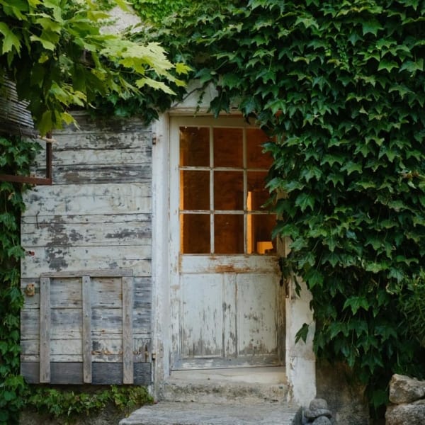 Image Instagram