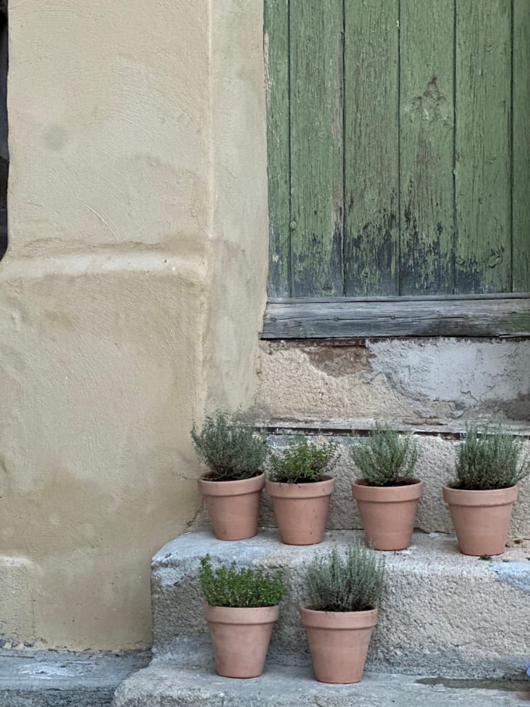 Sechs kleine Terrakottatöpfe mit duftenden Pflanzen, die auf Steinstufen arrangiert sind.