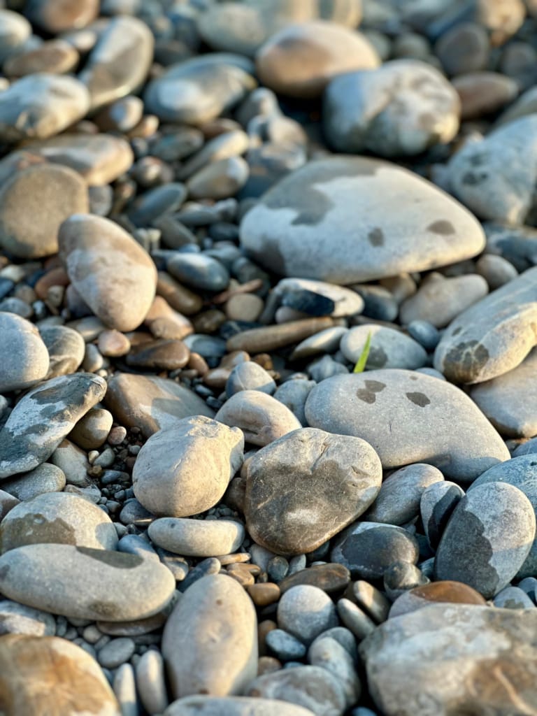 Un amas de galets lisses et arrondis de différentes tailles et nuances de gris sur une plage.
