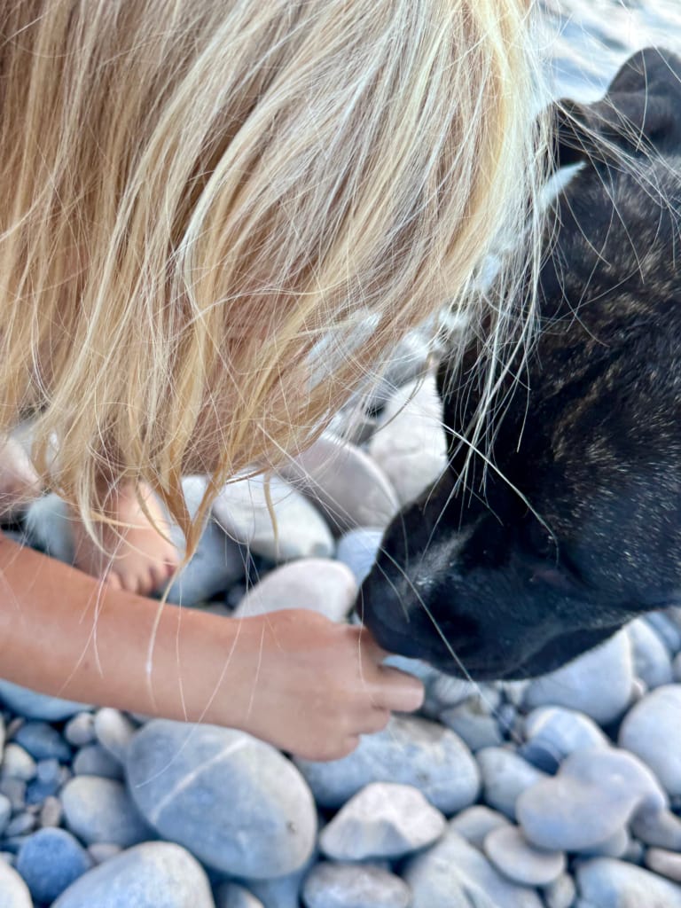 Une enfant aux cheveux blonds caresse un chien noir sur une plage de galets.