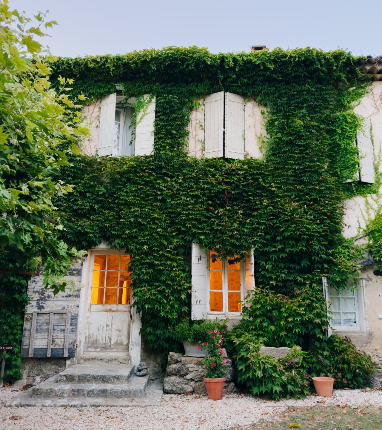 Façade de la ferme couverte de lierre