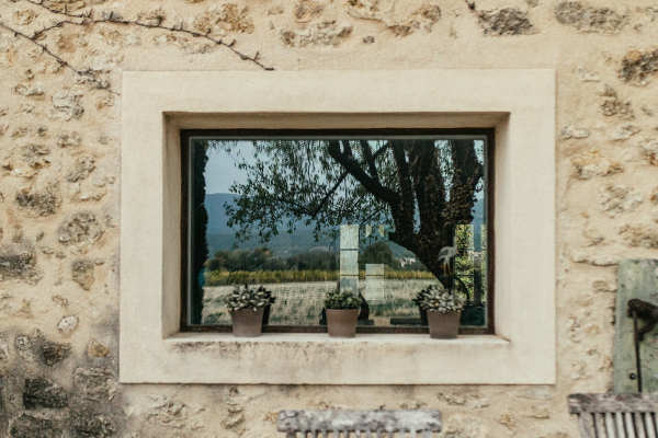 une fenêtre qui contient une plante