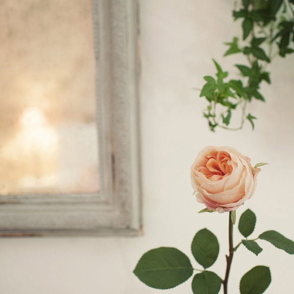 windowsill