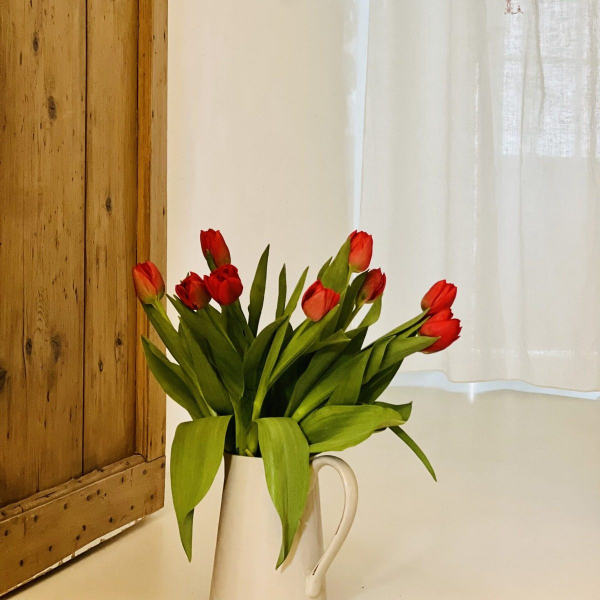 Eine Vase mit frischen roten Tulpen in der Nähe eines Fensters und einer Holztür.