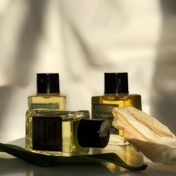 Elegante Parfums und Trockenblumen auf strahlend weißem Hintergrund.