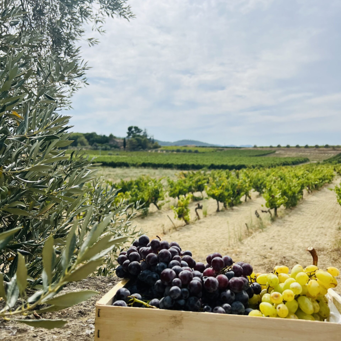 the-table-d-eve (118)